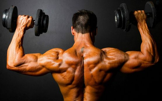 Steroidii: Cosa Sono e Come Vengono Utilizzati Steroidii: Cosa Sono e Come Vengono Utilizzati