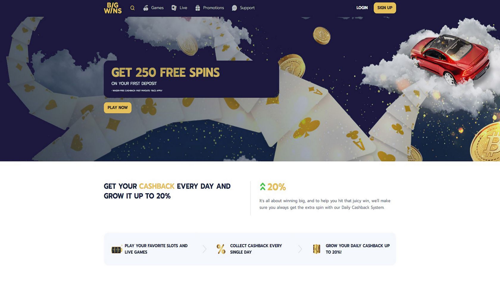 Whole Evaluation bigwins.com